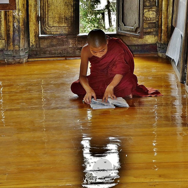 MYANMAR, Burma , Teakholzkloster Shwe-Yan-Pyay, in Nyaung-Shwe , dem Tor zum Inle-See, Leseratte,  80118/21118