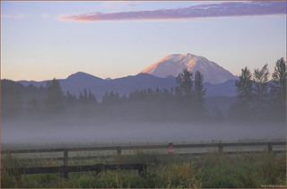 Mt Rainier Misty Sunrise