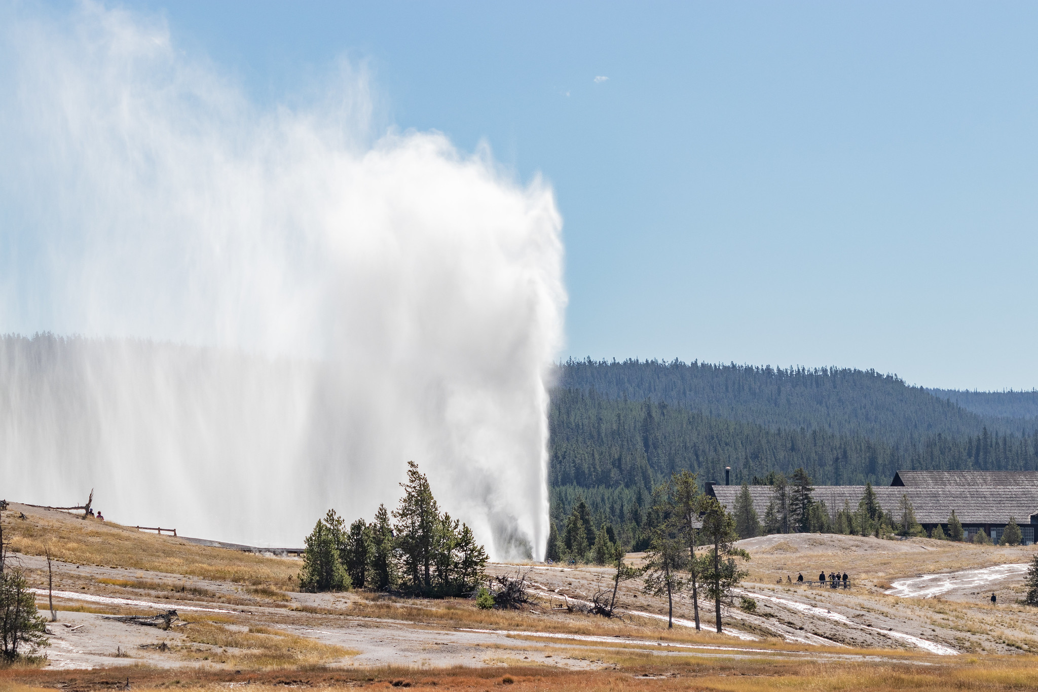 L’impressionnant Geyser Beehive en éruption au parc national de Yellowstone