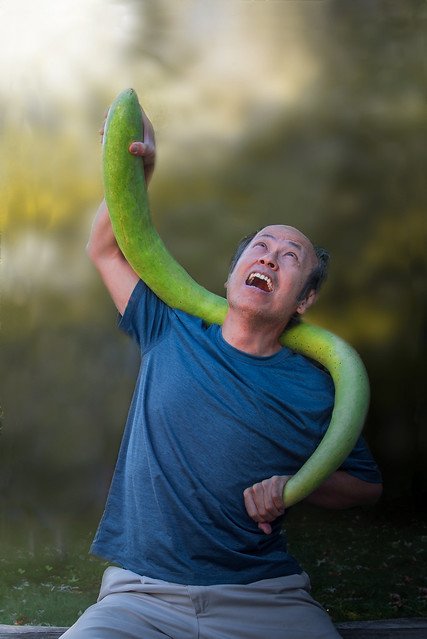 Man and Snake Squash