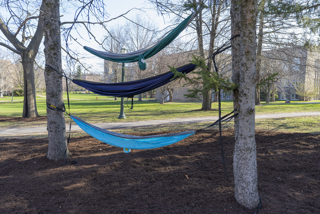 Hammock Stack