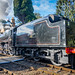 Severn Valley Railway Autumn Steam Gala-074.jpg