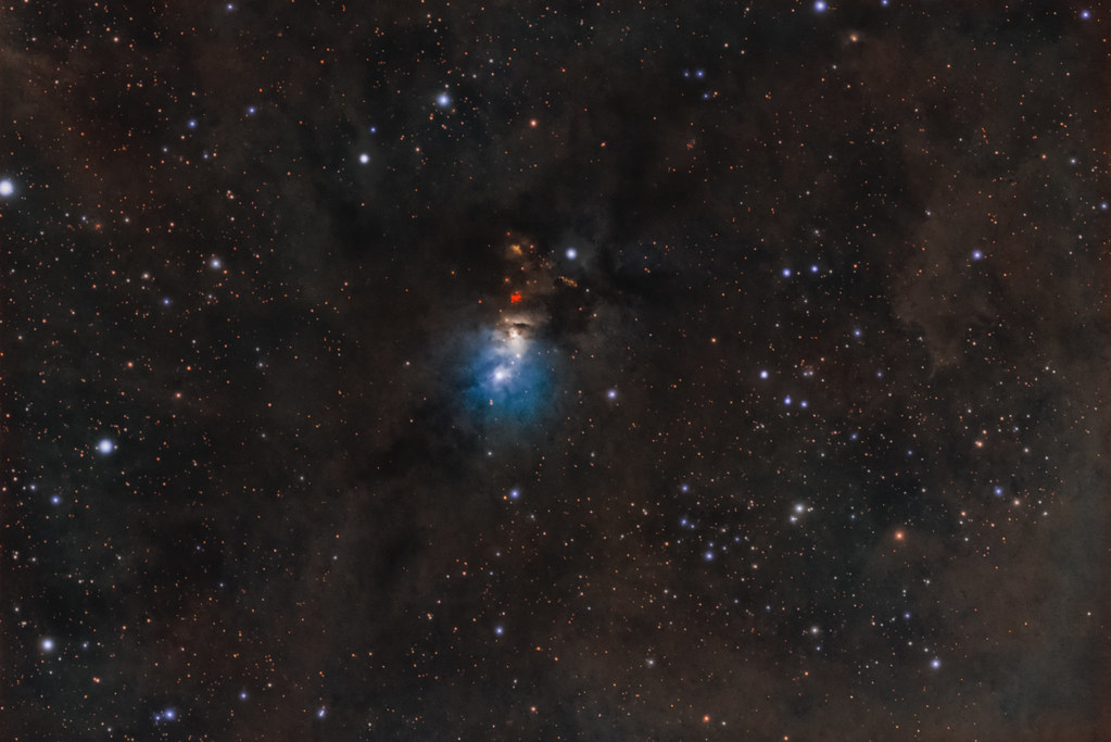 Ngc1333 Nebulosa Embrione