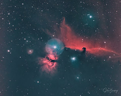 Horsehead and Flame Nebulas