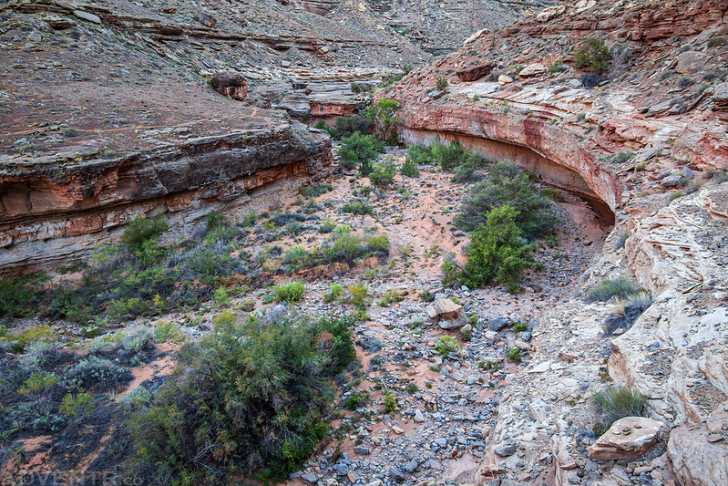 Lower Water Canyon