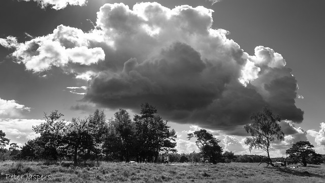 Donkere wolken boven het Leersumse Veld