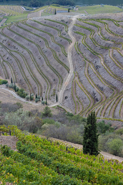 The Douro Valley, Northern Portugal.