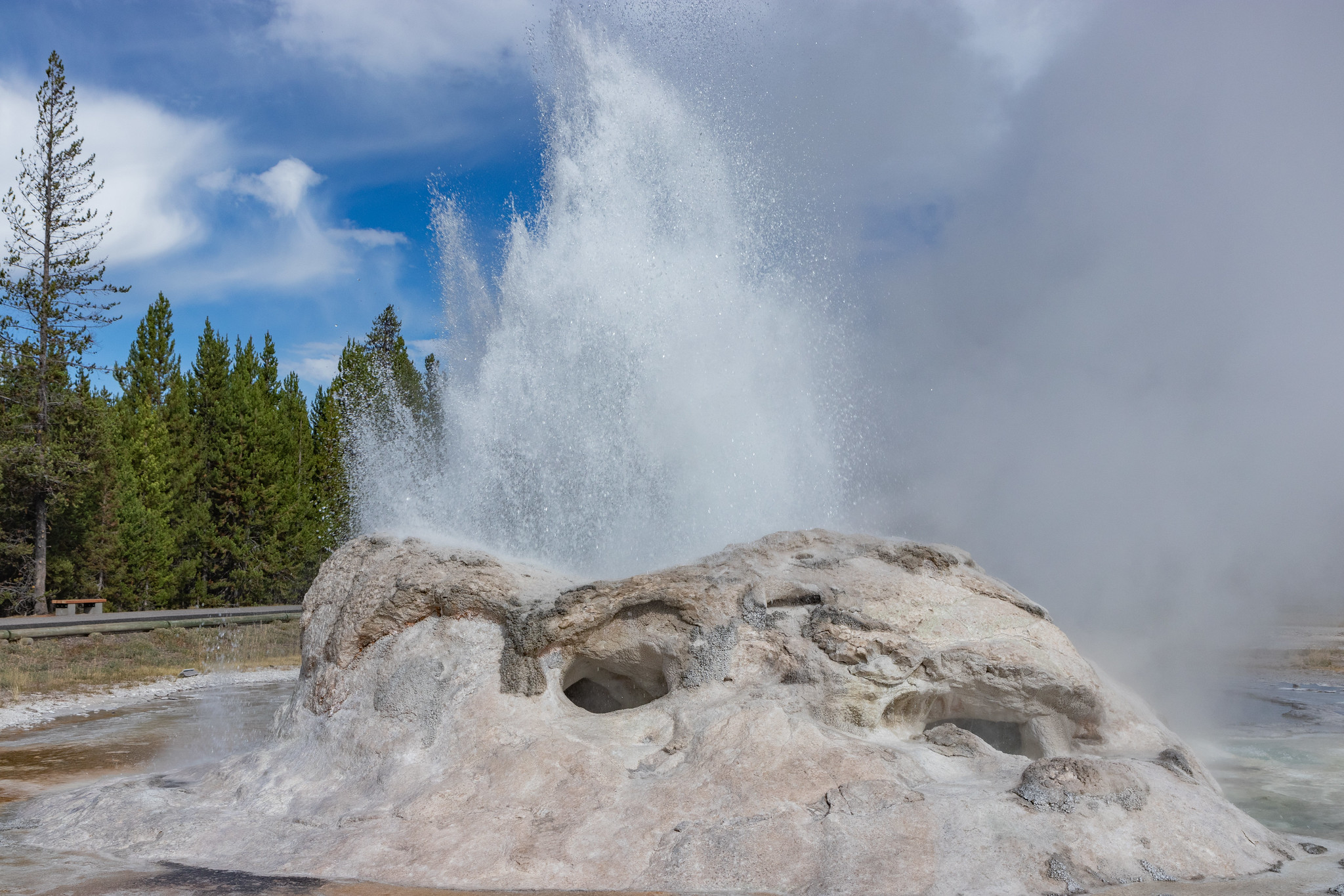 Le Grotto Geyser entre en éruption au parc national de Yellowstone