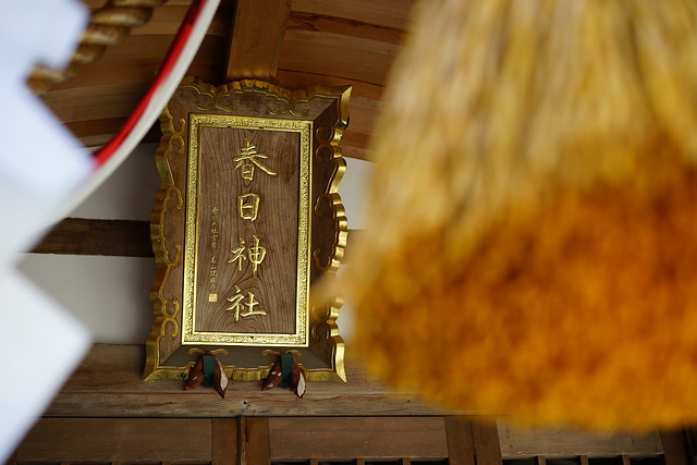 Golden shine, Kasuga Jinja