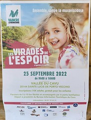 Affiche des Virades 2022 en Corse-du-Sud