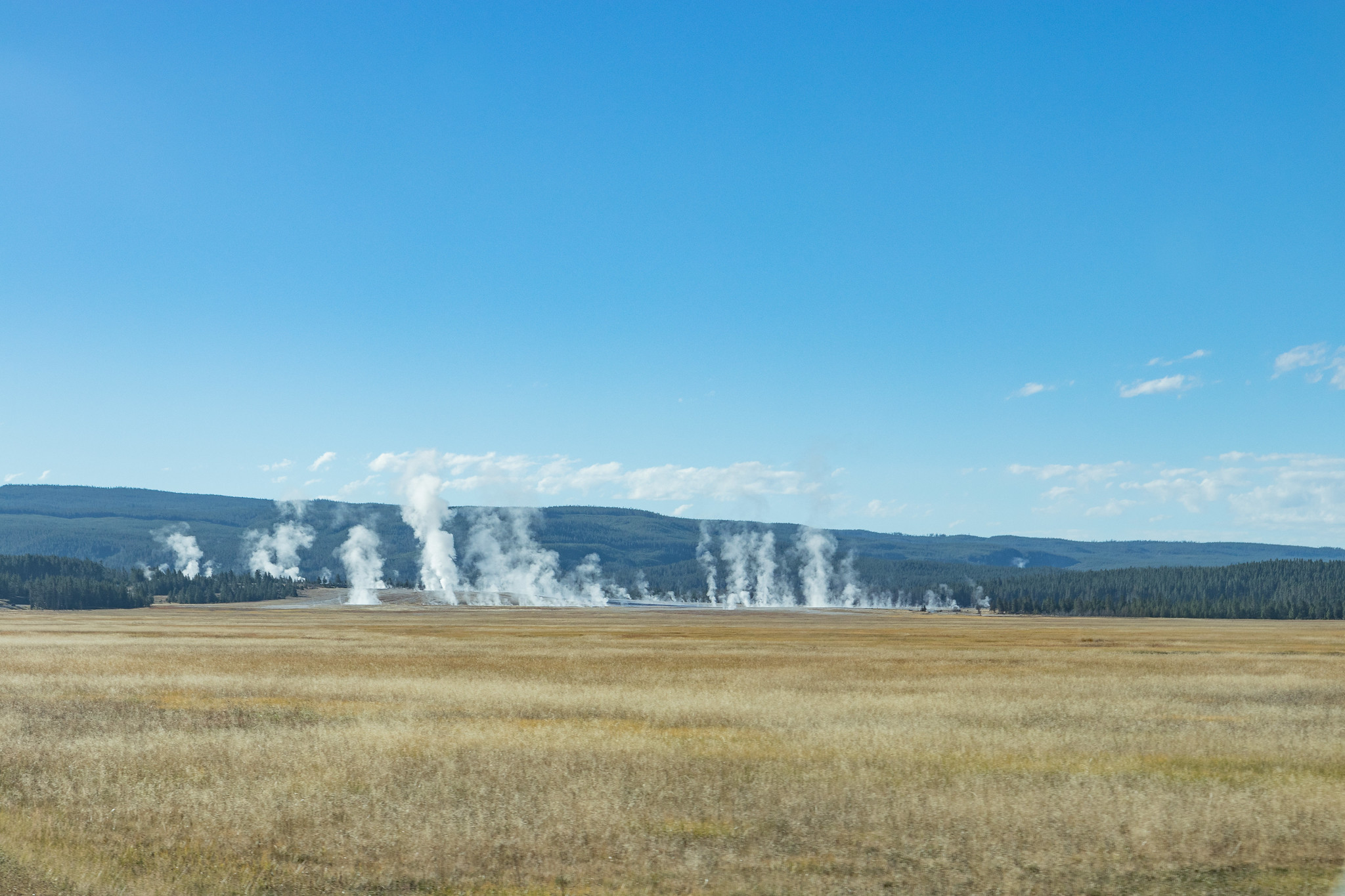 Des fumerolles fument au loin au parc national de Yellowstone