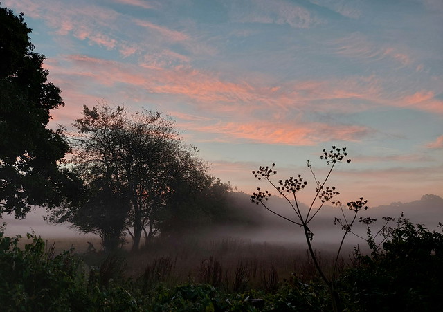 Dawn in Dorset