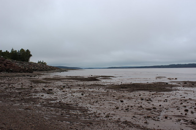 Fundy Bay