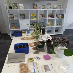 Seed swap at Te Hāpua: Halswell Centre