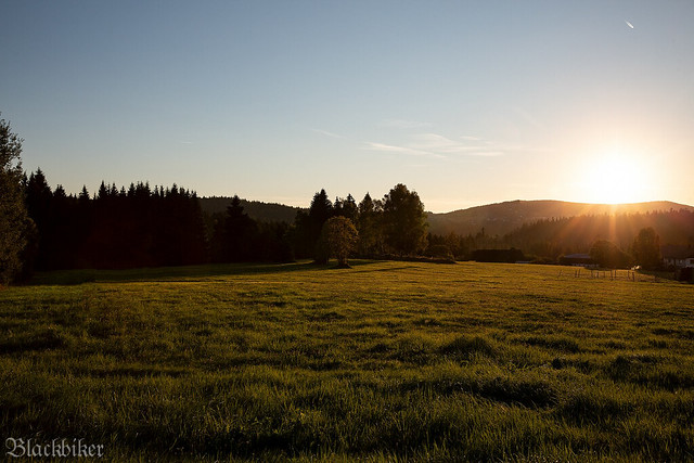 Sonnenuntergang im Märchenwald
