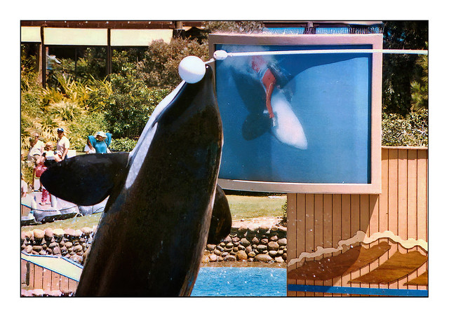SeaWorld Adventure Parks - USA - Over The Years.