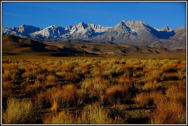 AN OWENS VALLEY MORNING