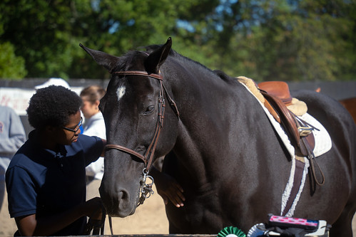 Equestrian in house horse show Sept 2022-01
