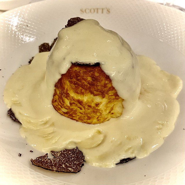 Twice baked Keen's Cheddar soufflé with shaved black truffle