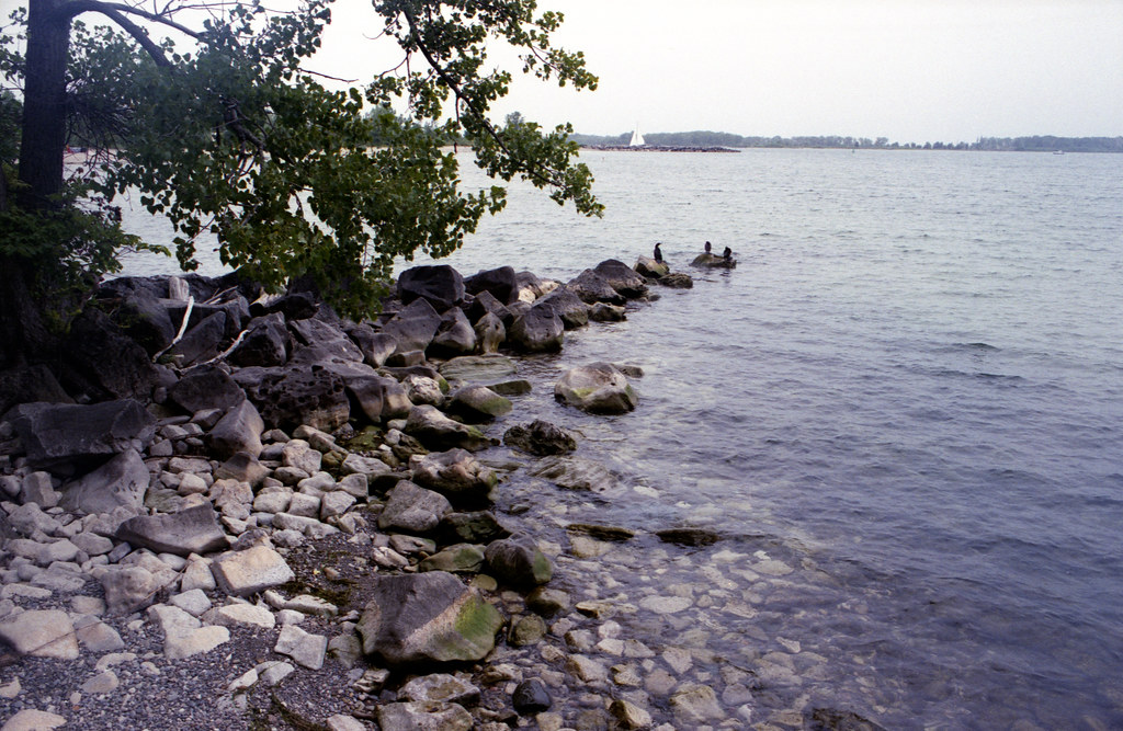 Looking Out to Tommy Thompson Park_