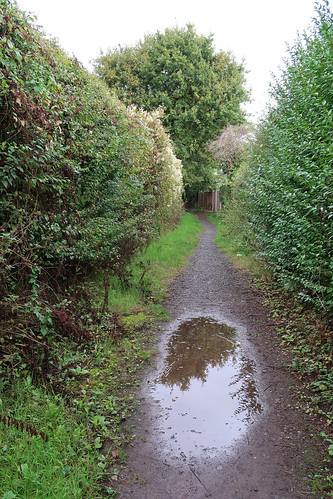 Bridle Path