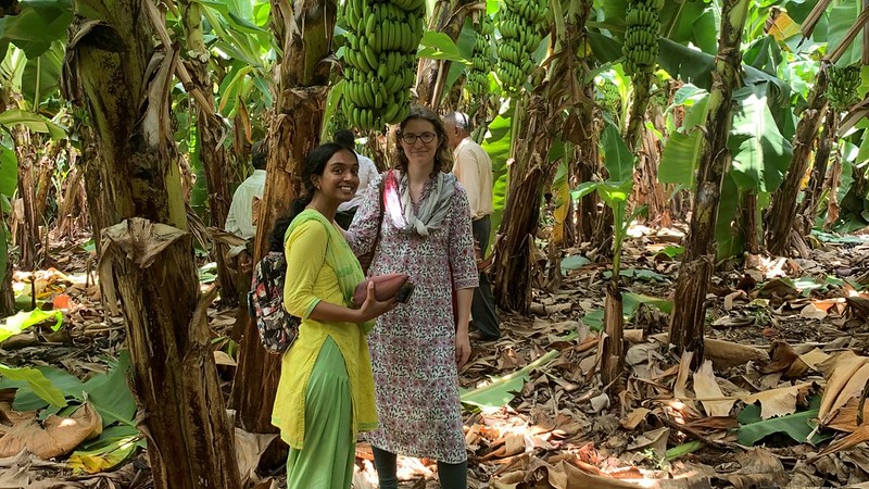 Researchers smiling for the camera in a banana grove