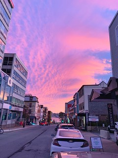 Portland Street Pinks, Dartmouth Nova Scotia