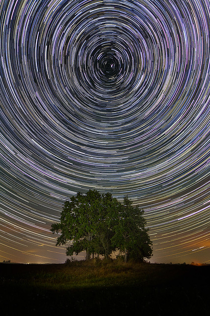 Stars trees