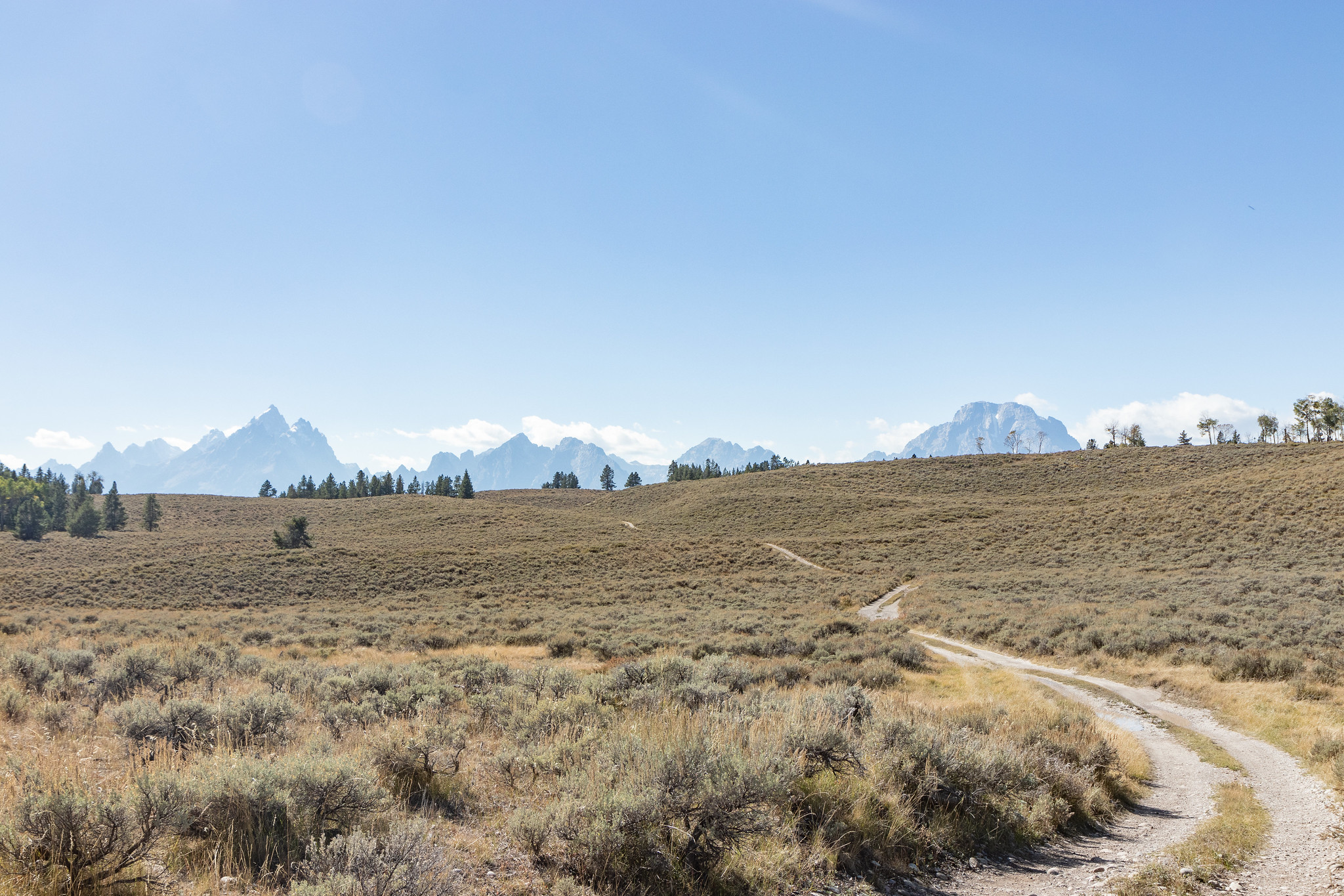 Une piste sinue dans la prairie au pied des montagnes du parc national de Grand Teton