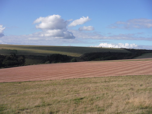 Fieldscape and Clouds, from near Page's New Barn SWC Walk 395 - Newhaven Circular