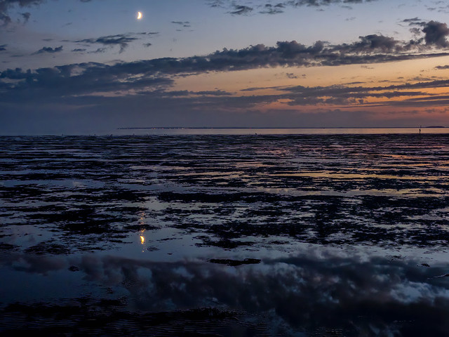 After sunset in the wadden sea