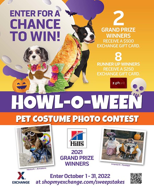 Military Pets Can Earn Halloween Treats with $3,000 in Prizes in Exchange Pet Photo Contest