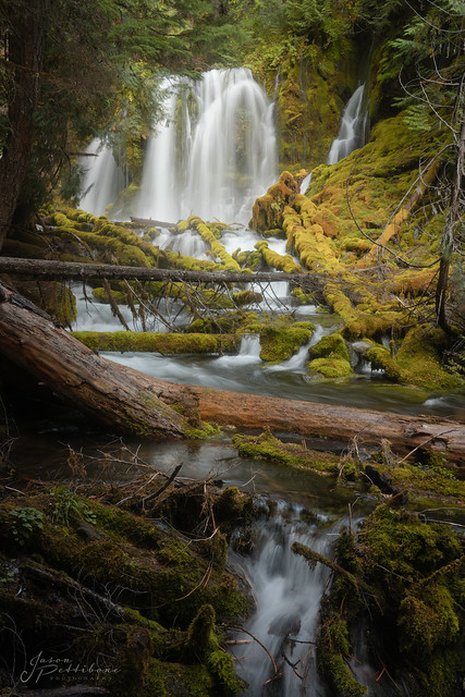 Downing Creek Falls, Oregon