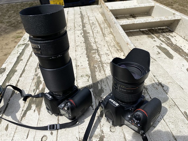 D750 and D80