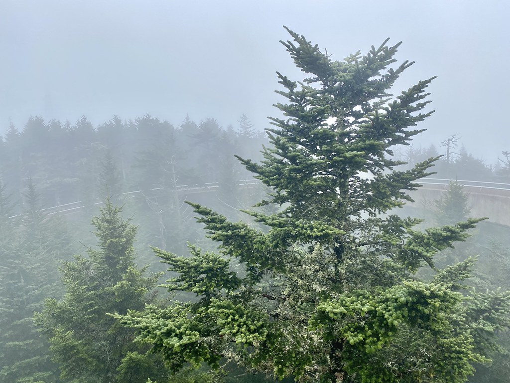 Appalachian Trail