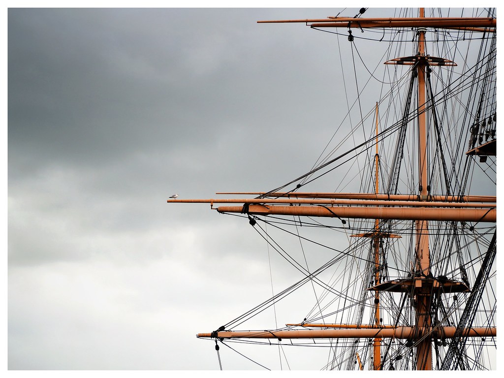 Masts, ropes and a little bird