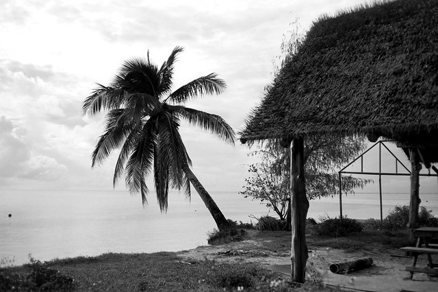 Micro Beach Palm and Grass Hut
