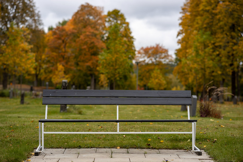 Autumn bench