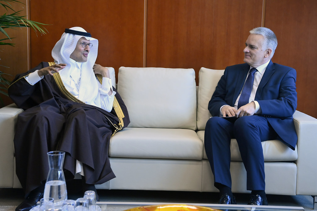 Saudi Arabia and UAE Expand Energy and Rail Cooperation
