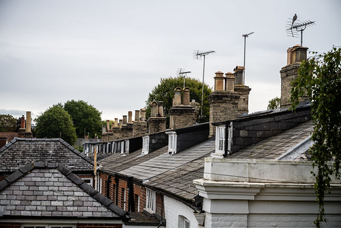 thegeorgehotel norwich roofs slates pigeon tvaerials chimneys dormerwindows pots