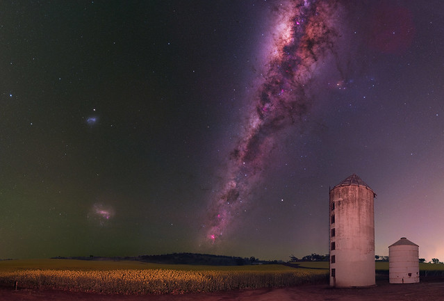 Milky Way above a canola field - Beverley, Western Australia