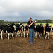 Ed Henderson raises dairy cows, more than 700 of them, near Live Oak, Florida where he doesn't just feed, milk and clean up after them but he also plays the trombone for them and, as this image attests, they enjoy the concert (LOC)