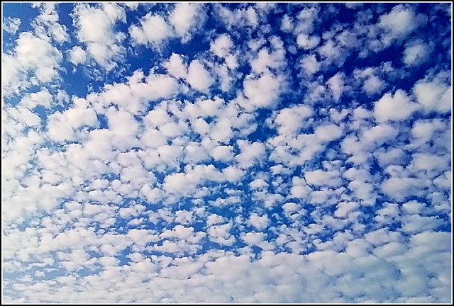 Cumulus Clouds ..