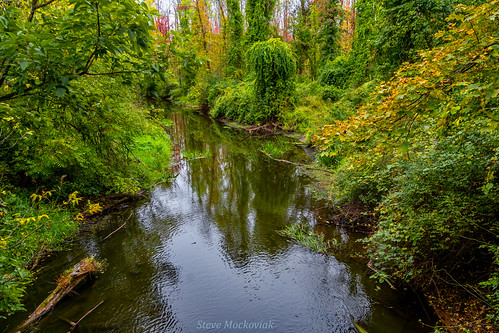 smack53 autumn autumnseason river stream brook water reflections trees fall fallseason lafayette newjersey nikon z50 nikonz50 zdx18140mm