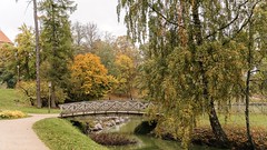 Autumn in Cesis, Latvia