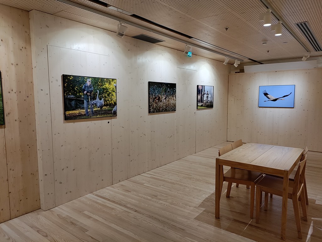 Gallery of art work, Haltia Finnish Nature Centre, Espoo