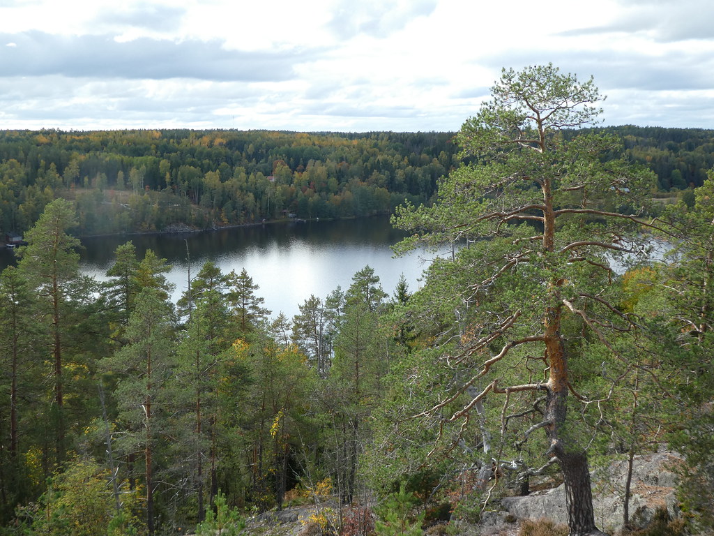 Views from Lookout terrace near Haltia Finnish Nature Centre