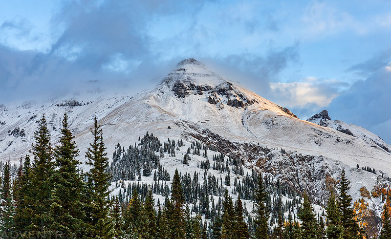 Fresh Snow