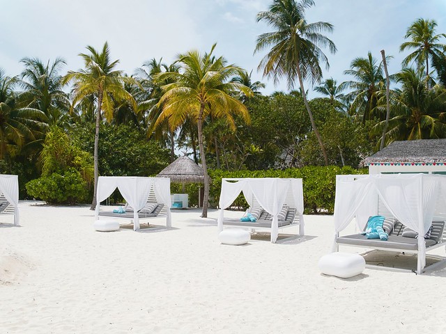 Hotel Lux* Ari Atoll, Maldivas. #Luxury #vsco #hotels #maldives #kinfolk #beach