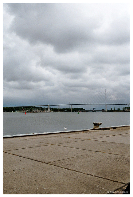 Rügenbrücke, Rügendamm, Möwe | EOS 300 / EF 40/2.8 | Kodak Gold 200